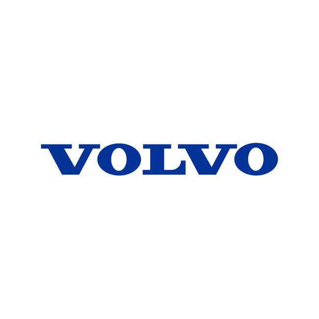 Fausse dynamo type Delco Volvo Amazon