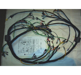 DS harness 1968-1969 2...