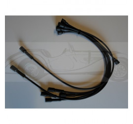 ignition harness 6 custom cylinders