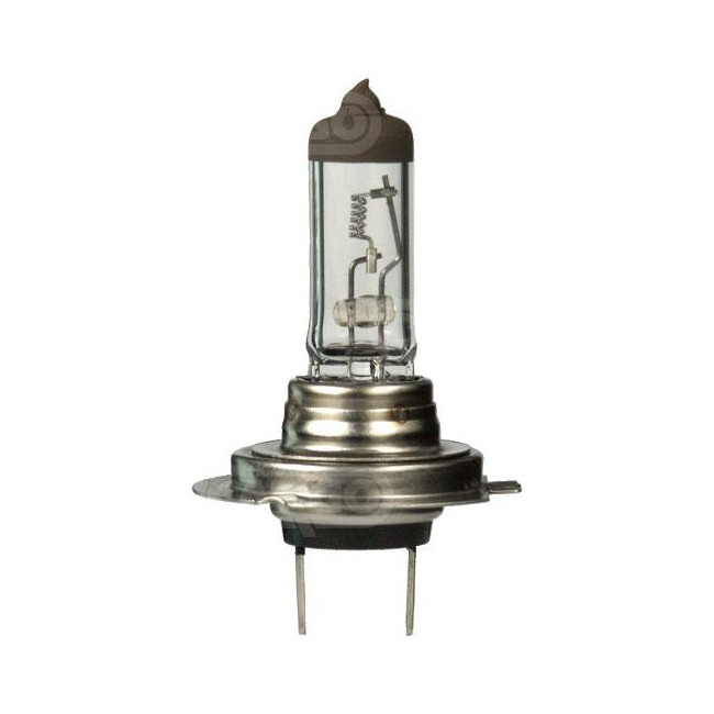 H3 24V 70W bulb