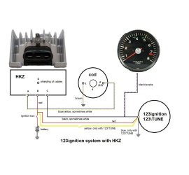 Programmabile elettronico di accensione Porsche 2.0L e 2.2L 6 cilindri