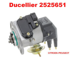 copy of Igniter Ducellier...