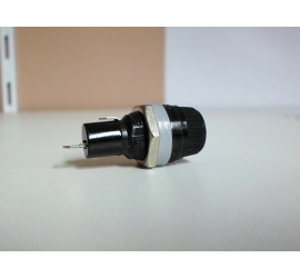 Door fuse 5x20mm embeddable glass