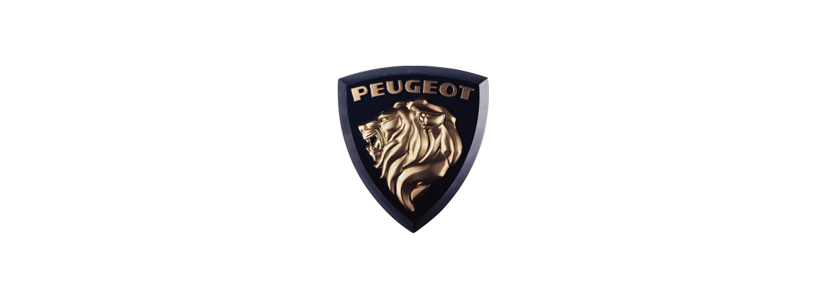 Injection beam Peugeot | Electricity for classic cars