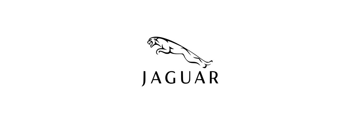 Imbracatura Jaguar | Elettrica per l'auto classica
