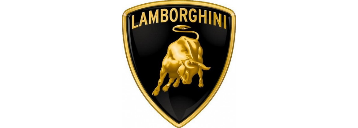 Imbracatura Lamborghini | Elettrica per l'auto classica
