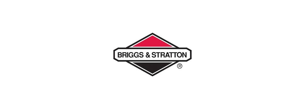 Charbon de démarreur Briggs et Stratton 