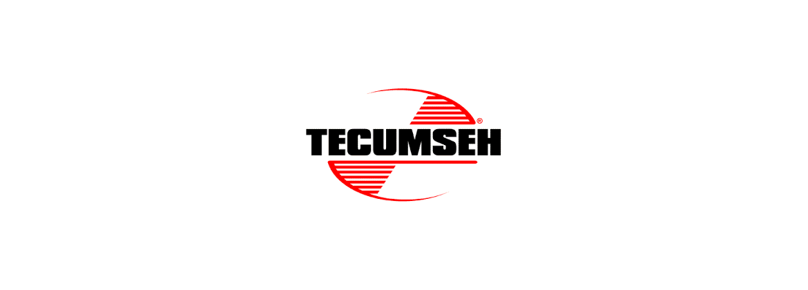 Motor de arranque de carbón Tecumseh | Electricidad para el coche clásico