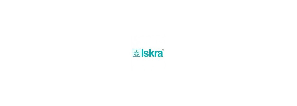 carbón del alternador Iskra | Electricidad para el coche clásico
