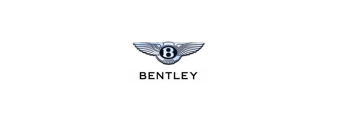 NGK Zündkerze Bentley | Elektrizität für Oldtimer