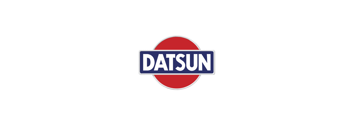 Spark plug NGK Datsun | Electricity for classic cars