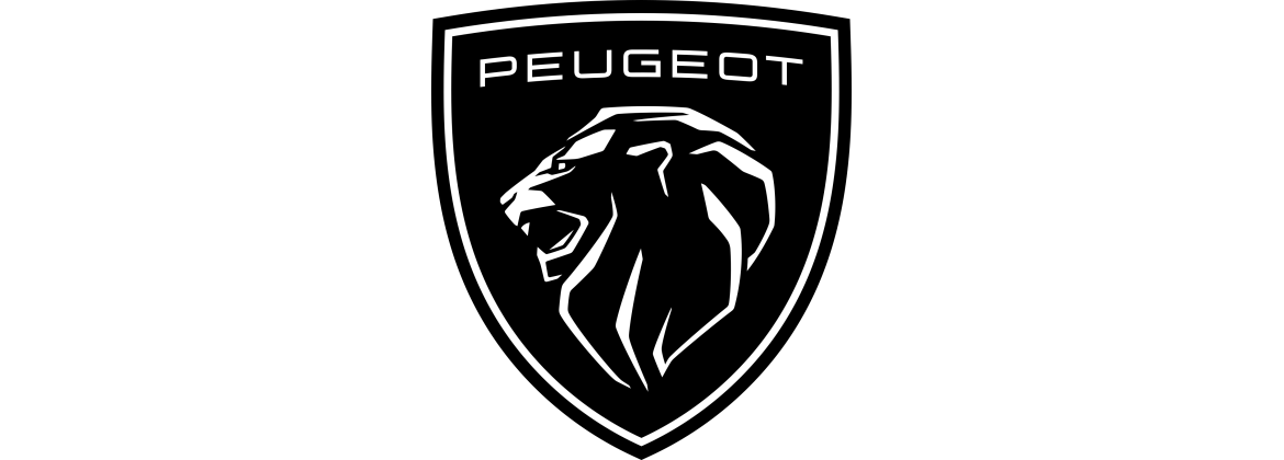 Bujías NGK Peugeot | Electricidad para el coche clásico