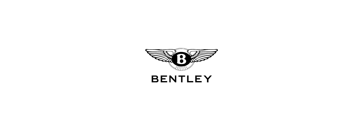 Motor de arranque Bentley | Electricidad para el coche clásico