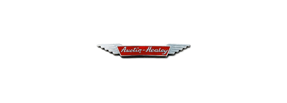 Sobremarcha haz Austin Healey | Electricidad para el coche clásico