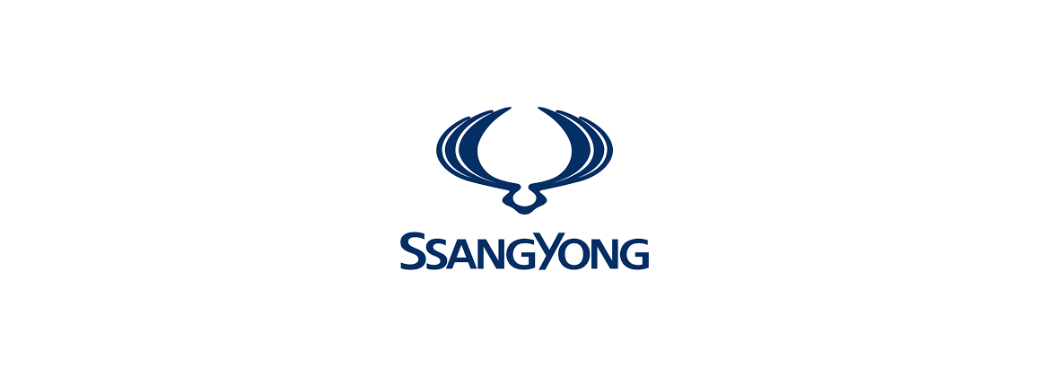 Interruttore pressione olio Ssangyong | Elettrica per l'auto classica