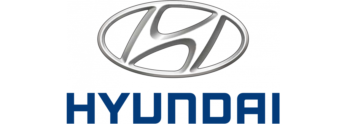 Luce di arresto Hyundai | Elettrica per l'auto classica