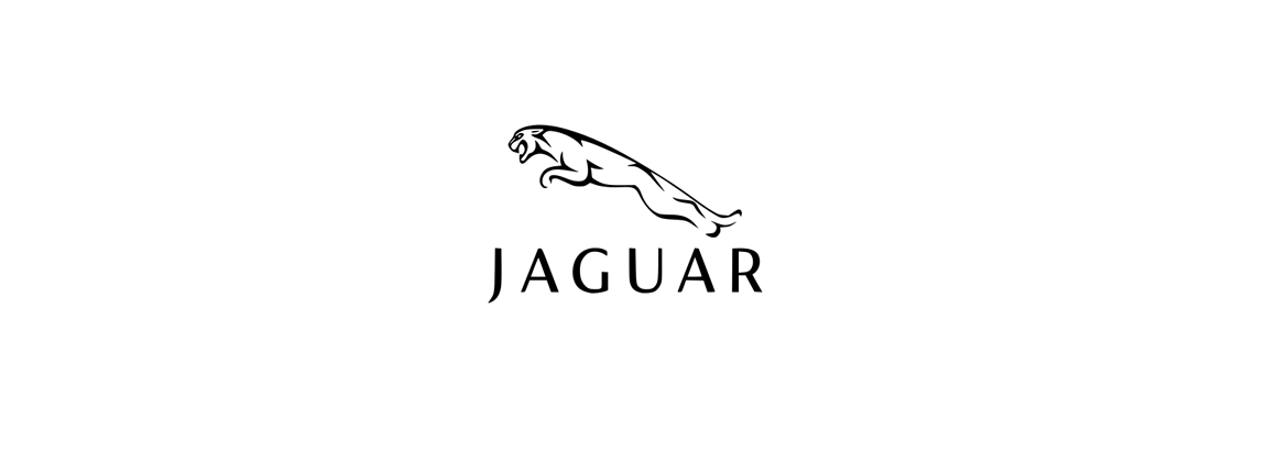 Tête dallumage Jaguar 