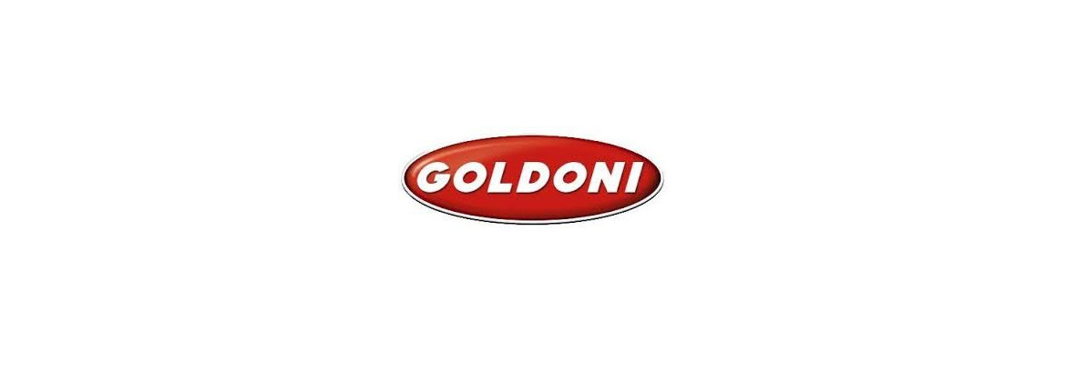 Generator Goldoni | Elektrizität für Oldtimer