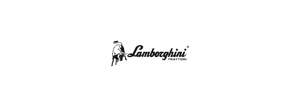 Alternateur Lamborghini agri 