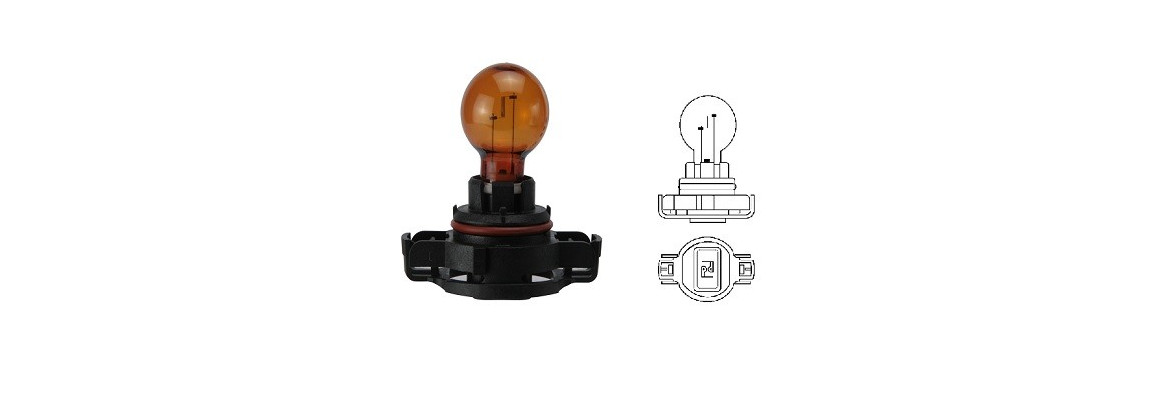 Bulb PG20-4 12V | Electricity for classic cars