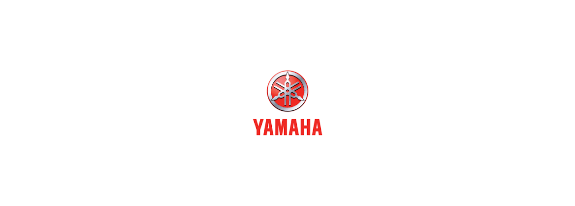 Electronic ignition Yamaha | Electricity for classic cars