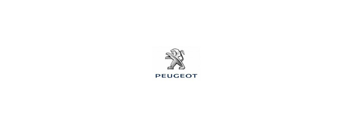Bloqueo de dirección / Neiman Peugeot | Electricidad para el coche clásico