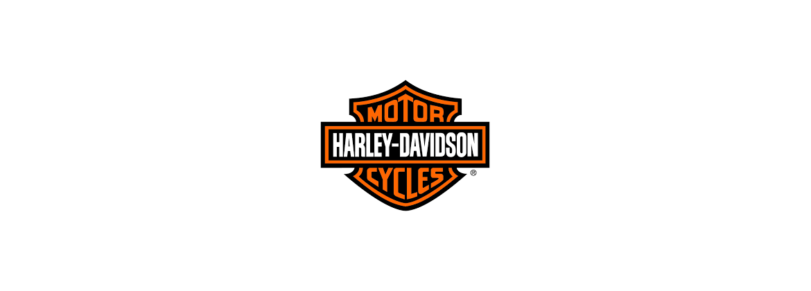 Dynamo moto Harley Davidson 