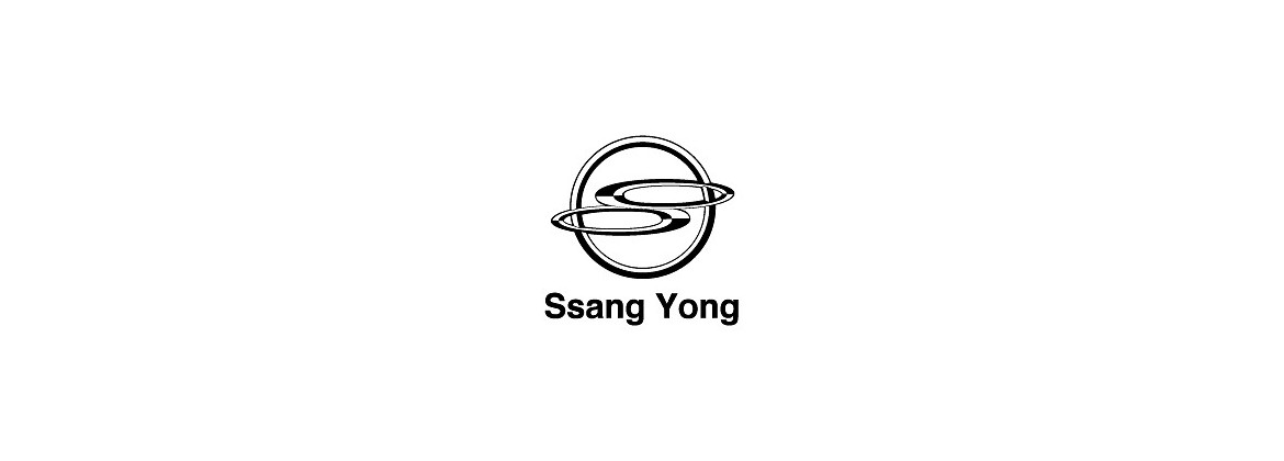 Motor de arranque camion Ssangyong | Electricidad para el coche clásico