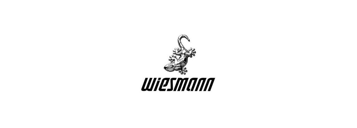 starter Wiesmann | Electricity for classic cars