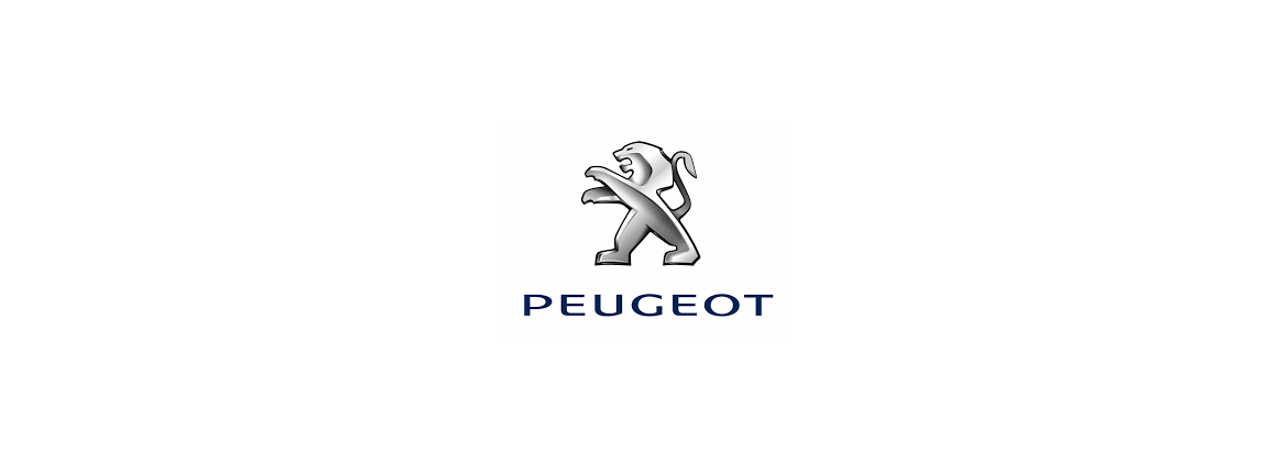 Interruttore a pedale frizione Peugeot | Elettrica per l'auto classica