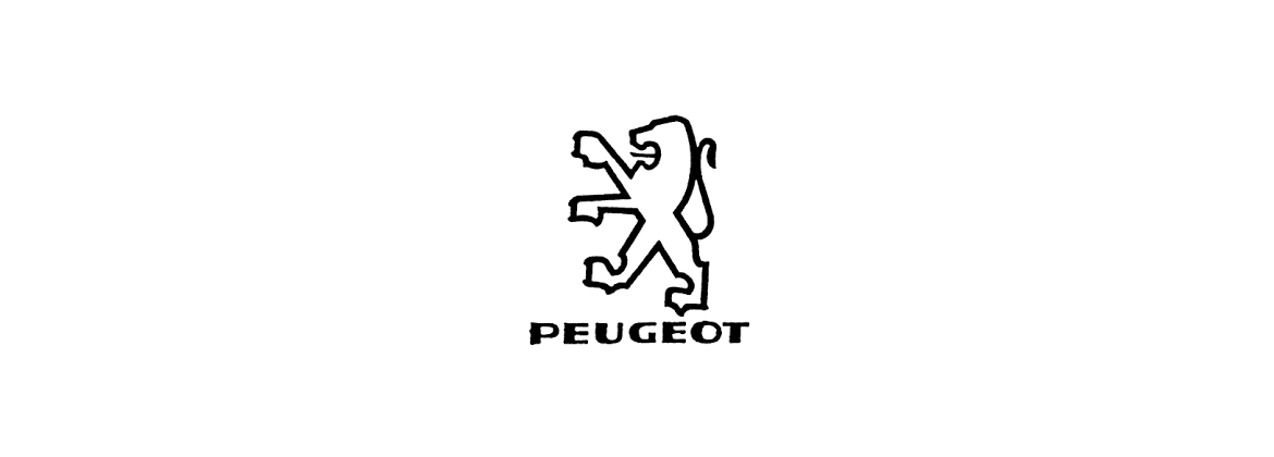 Falso dinamo Peugeot | Elettrica per l'auto classica