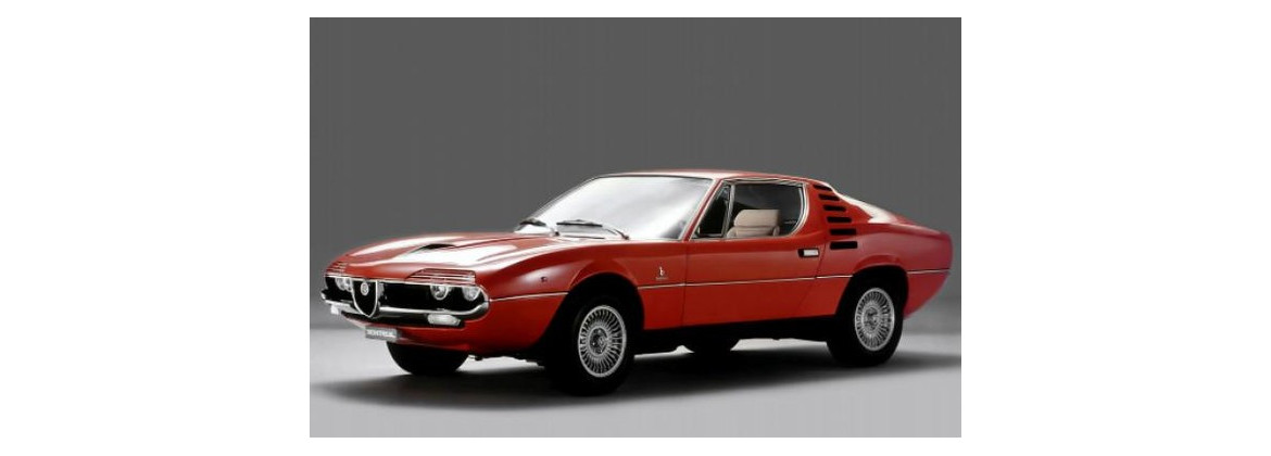 Electric harness Alfa Romeo Montreal | Electricity for classic cars