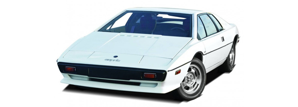 Electric harness Lotus Esprit | Electricity for classic cars