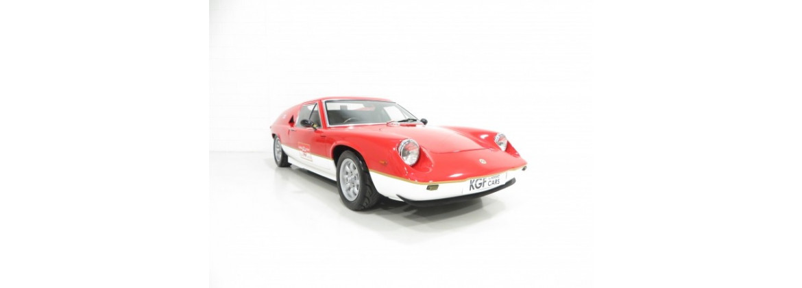 Electric harness Lotus Europa | Electricity for classic cars
