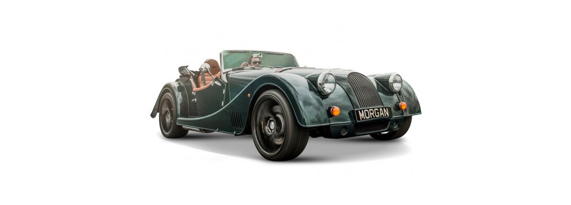 Electric harness Morgan Plus 8 | Electricity for classic cars