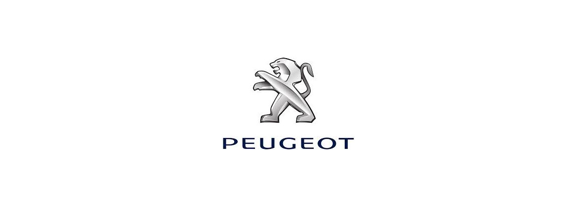 Platine et contacteur lève vitres Peugeot