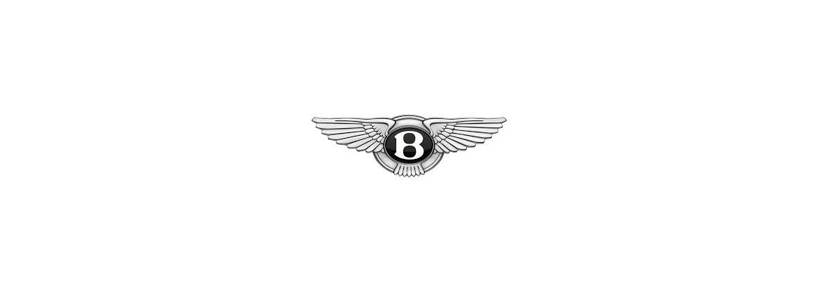 Rotor / Doigt d'allumeur Bentley
