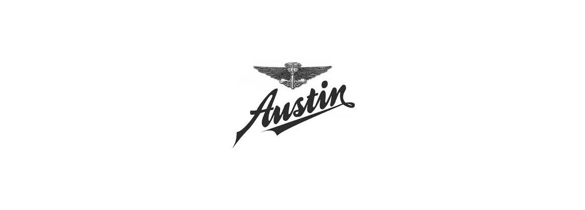 Rupteurs / Vis platinées Austin