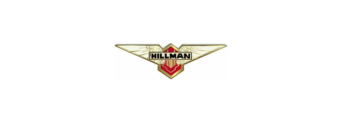 Rupteurs  Vis platinées Hillman 