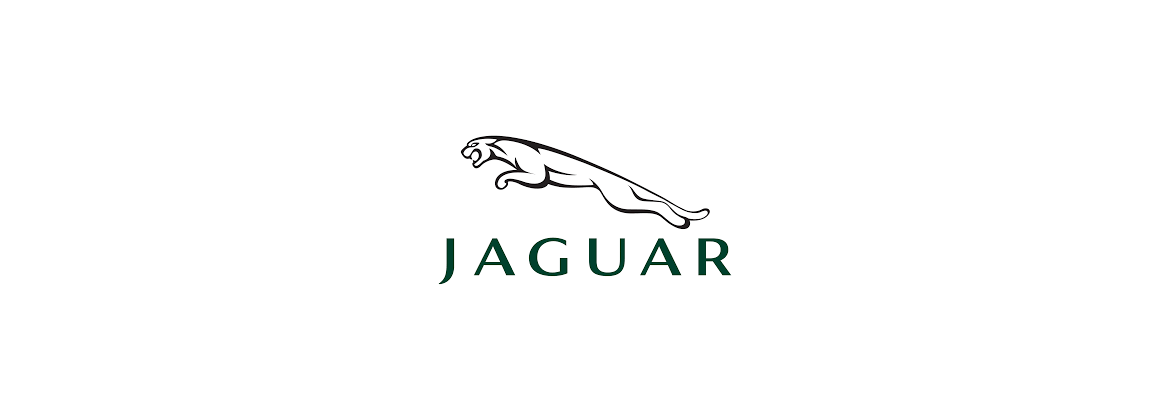Condensateur Jaguar