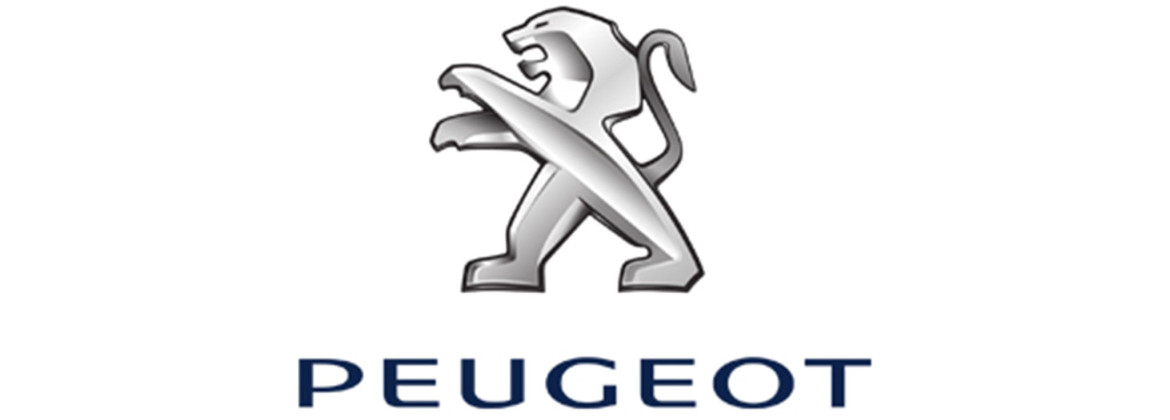 kit LED complet pour Peugeot