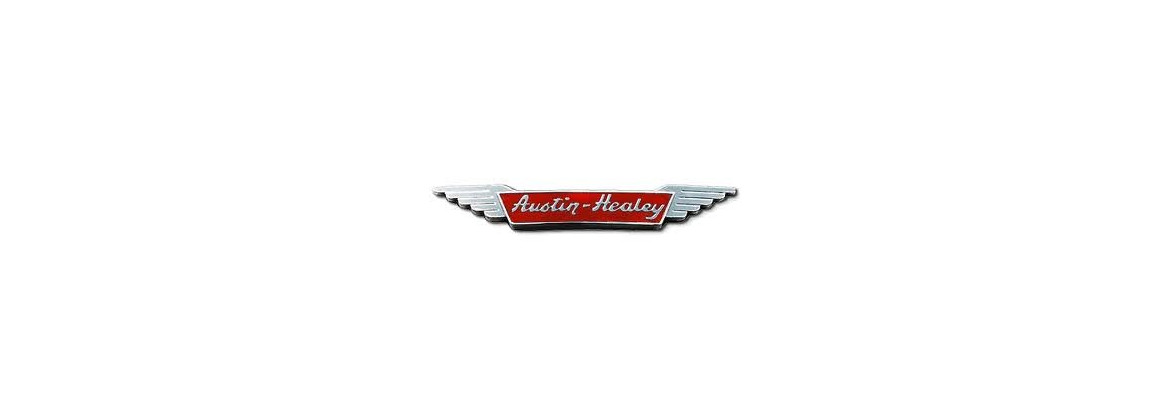 Arranque Austin Healey | Electricidad para el coche clásico