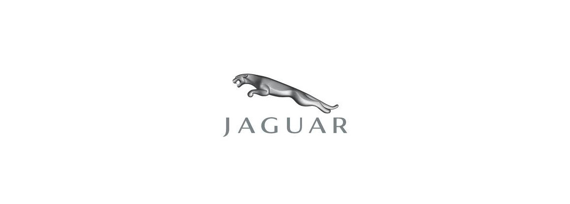 Jaguar di avviamento | Elettrica per l'auto classica