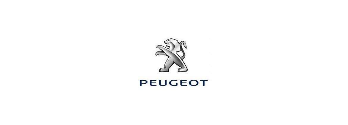 Starter motor Peugeot | Electricity for classic cars