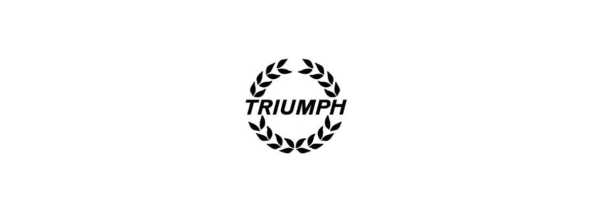 Démarreur Triumph 