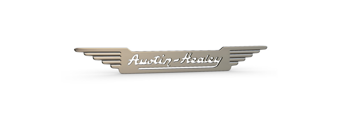 Elektronische Zündung Kit Austin Healey | Elektrizität für Oldtimer