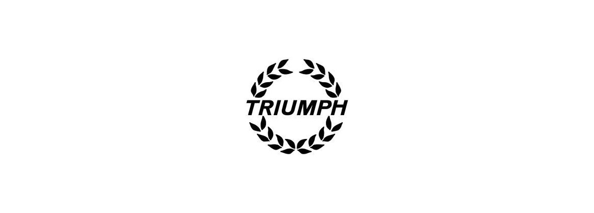 Elektronische Zündung Kit Triumph | Elektrizität für Oldtimer