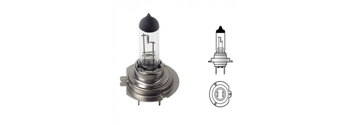 Bulb 12V H7 | Electricity for classic cars