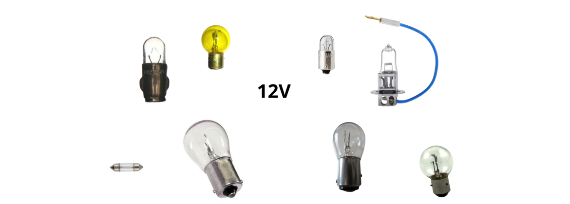 Bulbs 12V | Electricity for classic cars