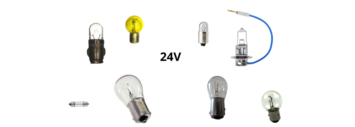 Bulbs 24V | Electricity for classic cars